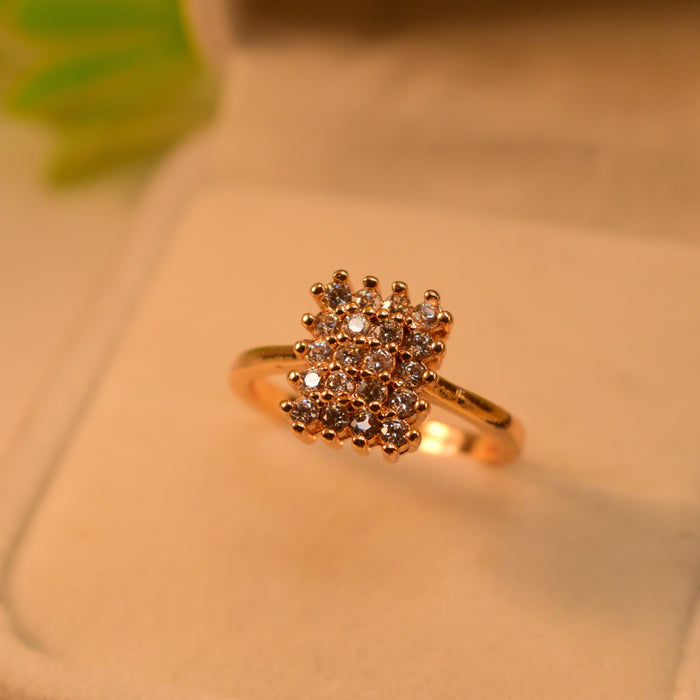 THE GOLDEN CHARM