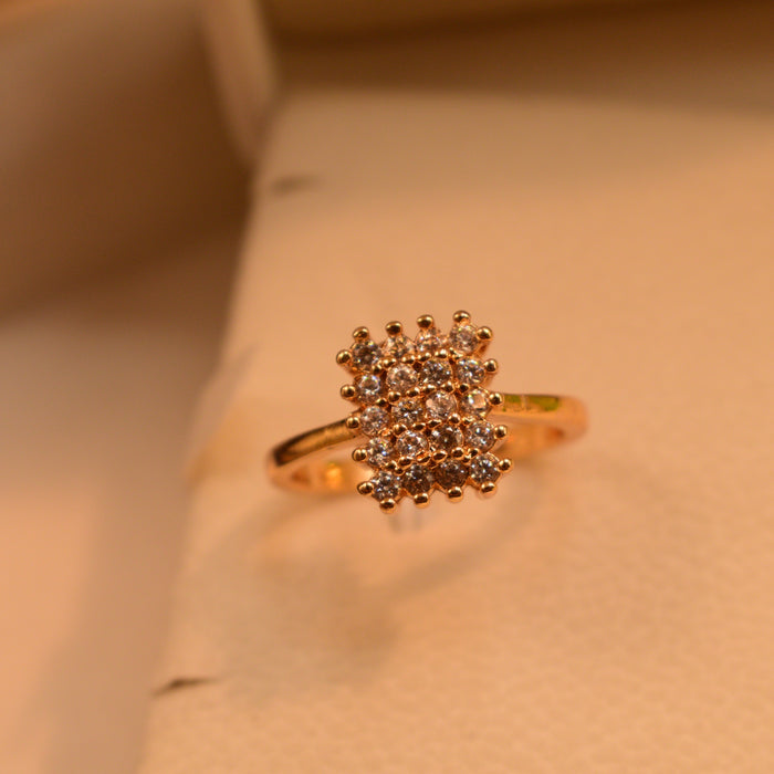THE GOLDEN CHARM